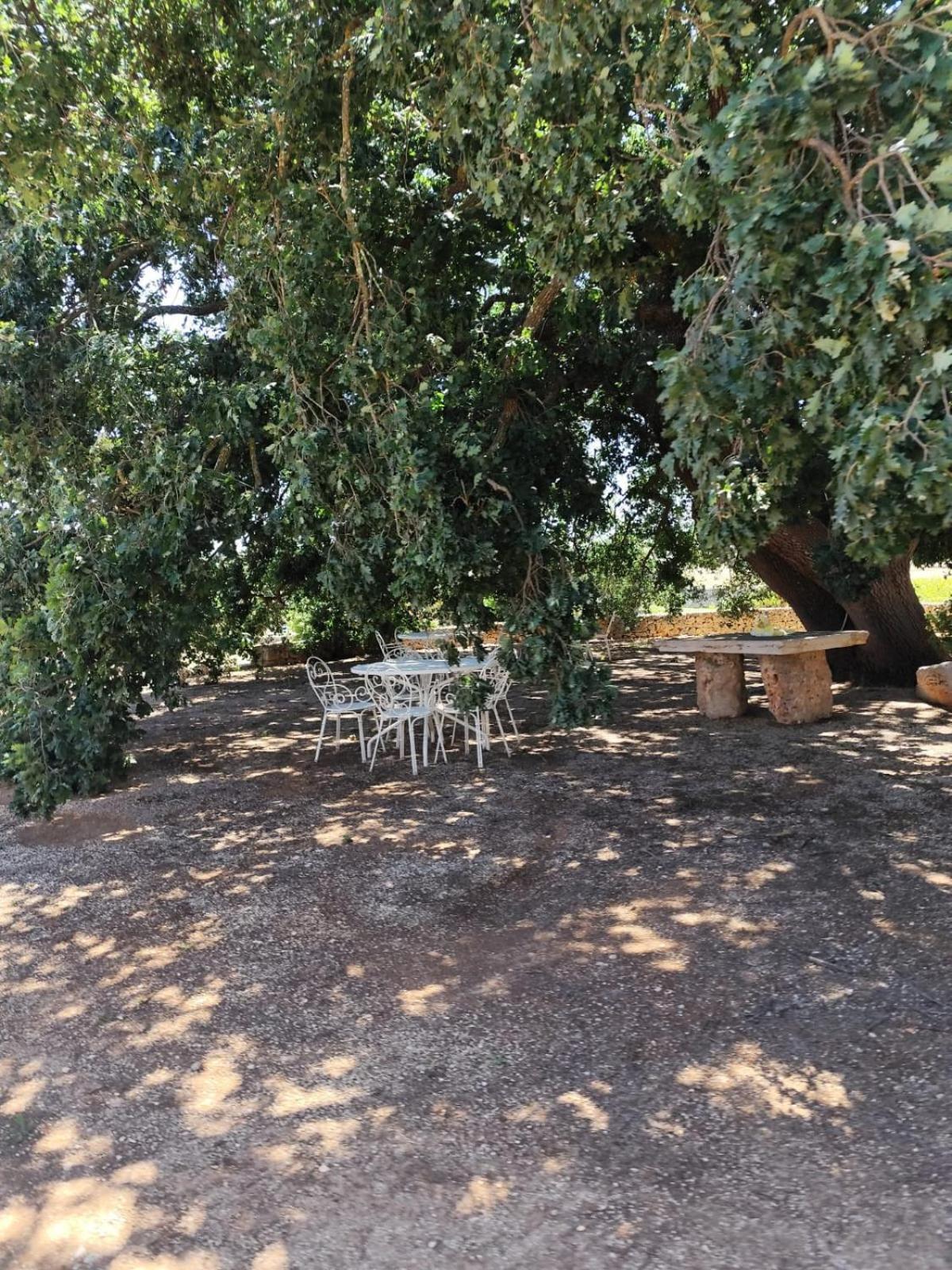 Masseria Palmo Francavilla Fontana Exteriör bild